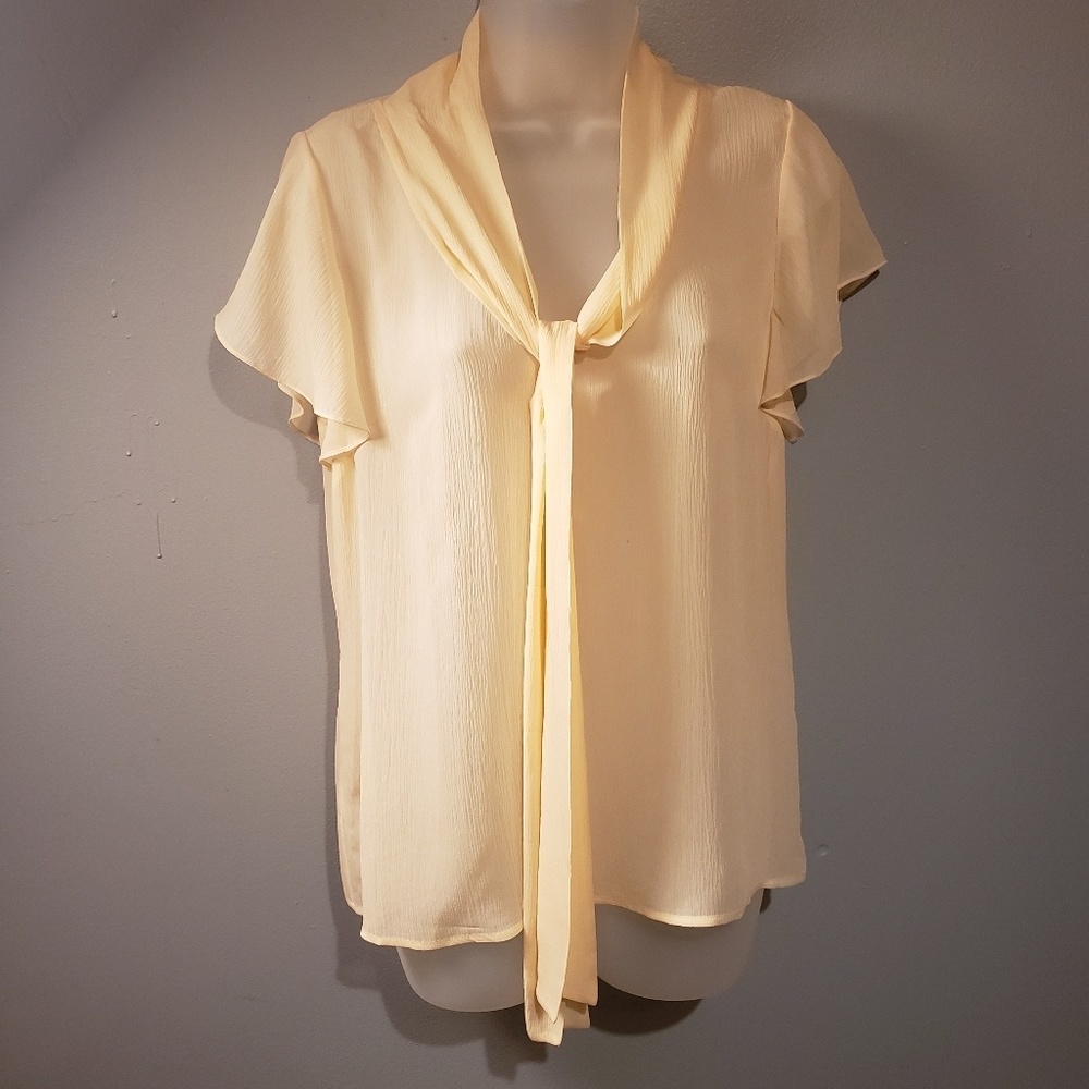 St. John blouse